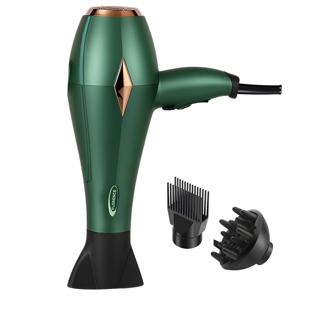 S%C3%A8che-Cheveux_Professionnel_IdvmGtK
