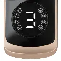 Bronze (1).webp